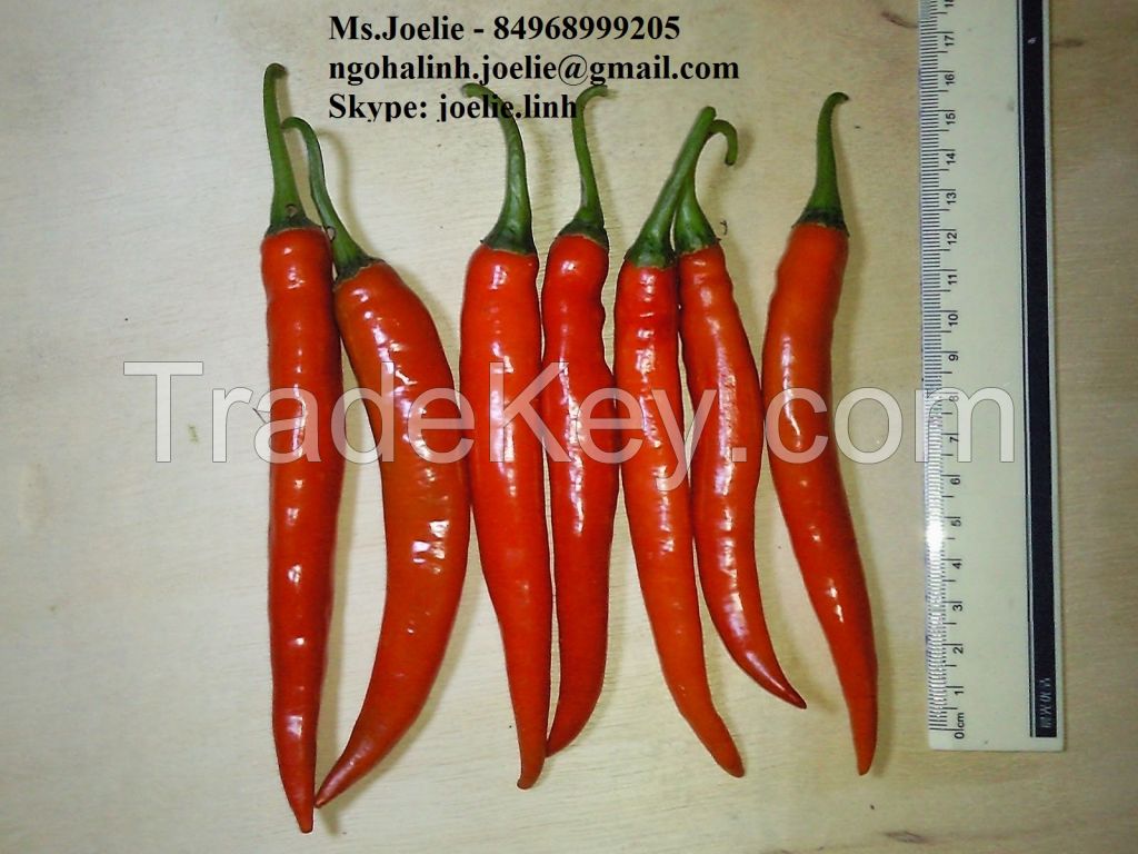 SELL FRESH AND DRIED CHILLIES (+84968999205)