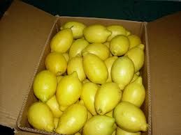 Fresh Lemon from South Africa