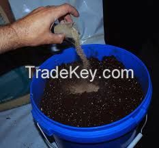 Organic bat Guano fertilizer
