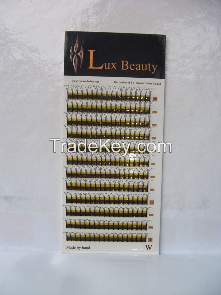 W Lashes Extension