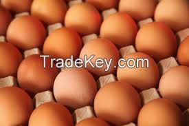 Eggs, poultry eggs, farm fresh white eggs
