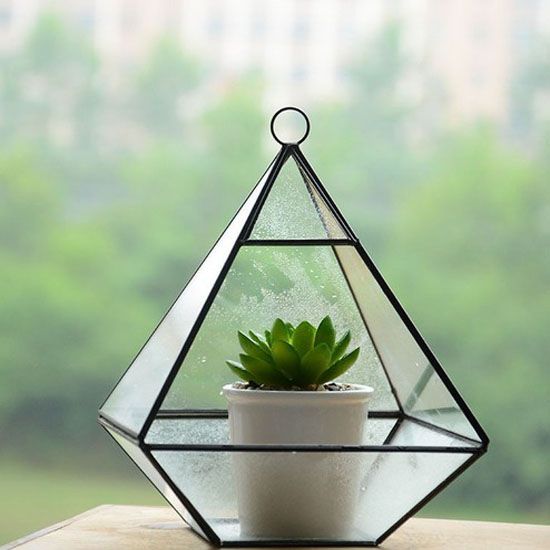 glass plant cube
