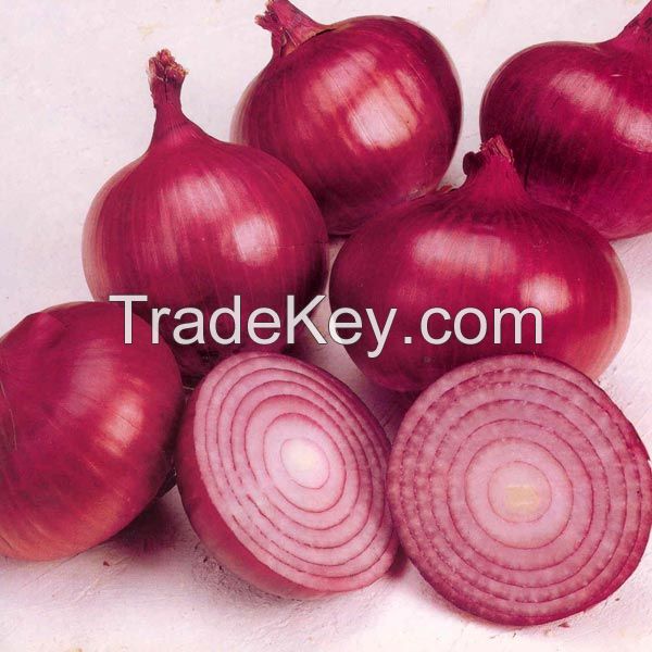 Fresh Red/white and brown onion