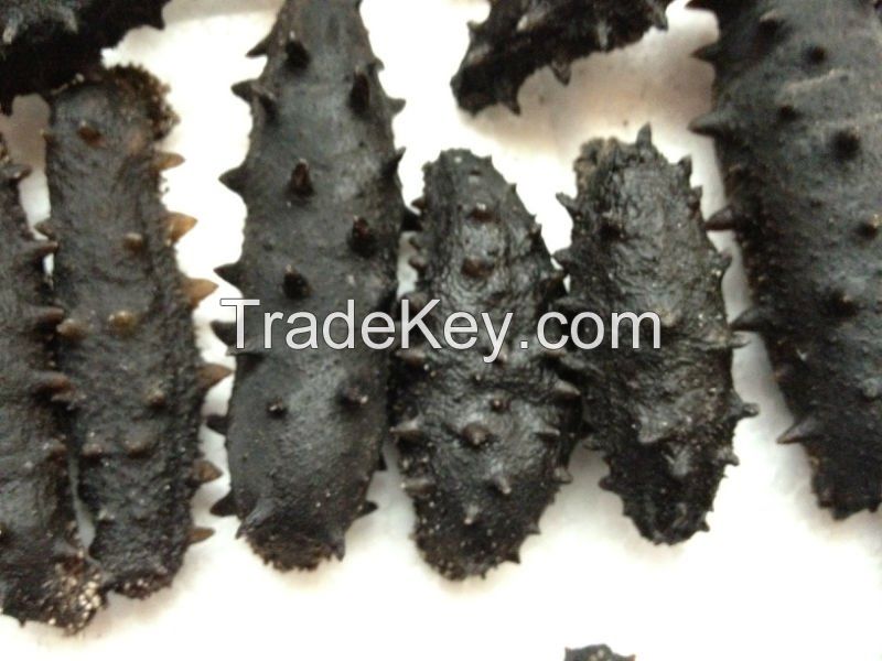 Dried Sea Cucumber