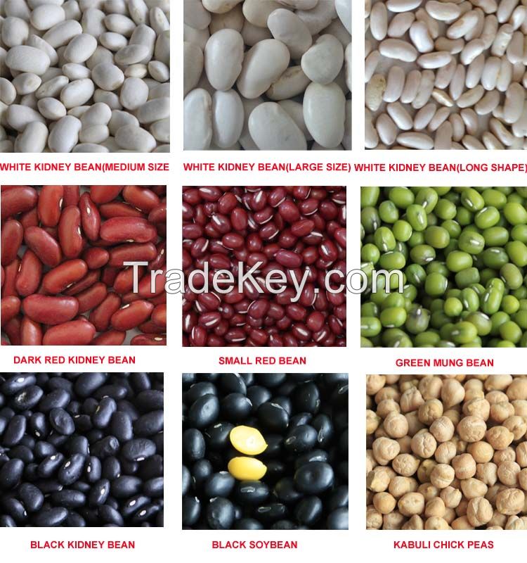 Sugar Beans Kidney Beans Mung Beans For Sale