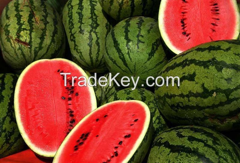 fresh water melon