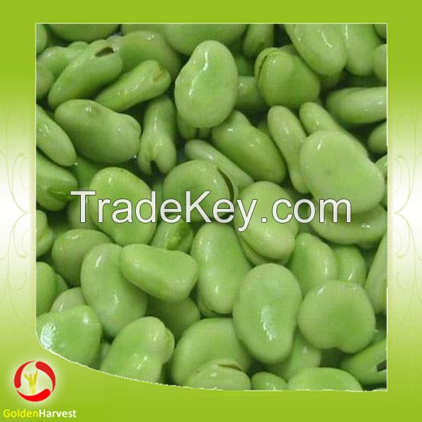 Broad Beans whole sales