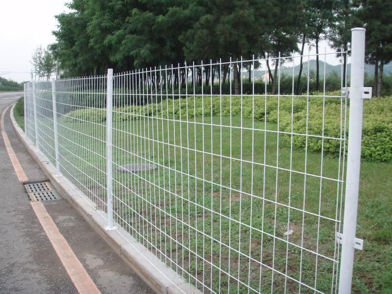 Fence with Double Wire Edges