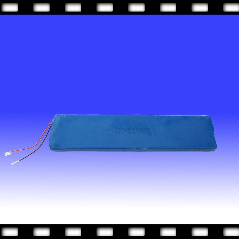 Lithium Polymer Battery for Electrical Product 12V 8ah (6570260)