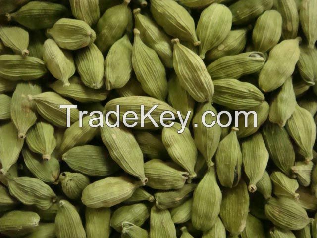 Indian High Quality Fresh Green Cardamom