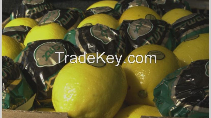 FRESH LEMONS FROM SOUTH AFRICA