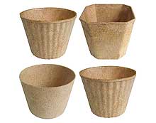 Biodegradable Flower Pot