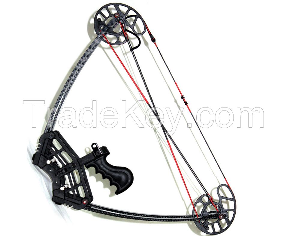 Black Bow Set, Triangle Hunting Compound Bow and Arrow Set, China Archery Set, 