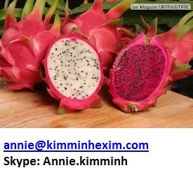 Fresh Dragon Fruits