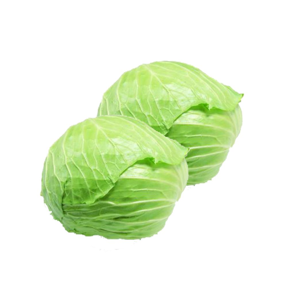 Hot sale of high quality fresh round cabbage accept custom planting