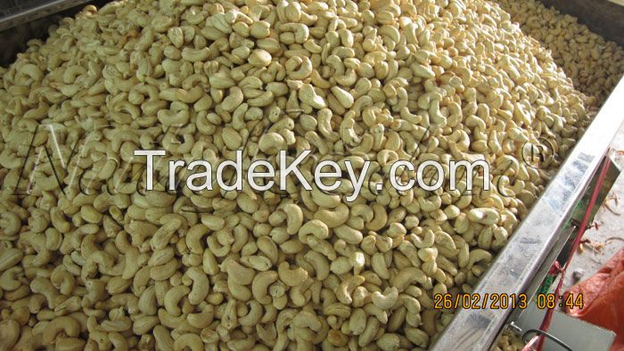 THIRD GRADE CASHEW NUT KERNEL: LP, SP