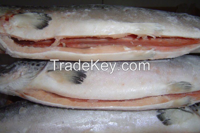 Frozen Atlantic Salmon