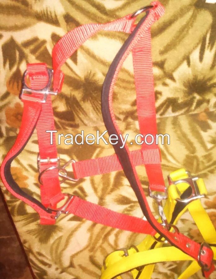 PP Horse Halters Red, size pony cob, full