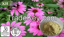 Echinacea Extract Cichoric acid 1%, 2%, 2.5%, 4%, Polysaccharide 20%.