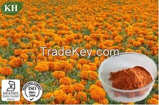 Sell Marigold Extract Lutein 5%, 10%, 20%, 80%, 90% (UV, HPLC)