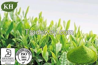 Sell Green Tea Extract  98% polyphenols, 