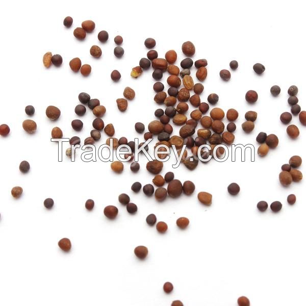 Cauliflower Seeds, Cauliflower Seeds Extract