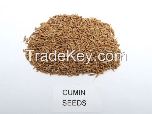Cumin Seed, Black Cumin Seeds, Cumin Seed Powder