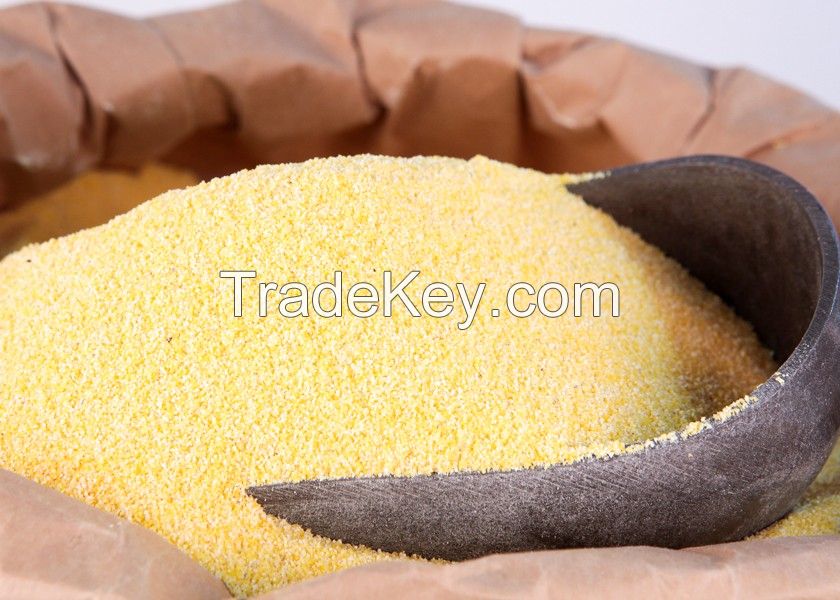 Corn Gluten Meal 60%, Corn Gluten Meal for animal feed