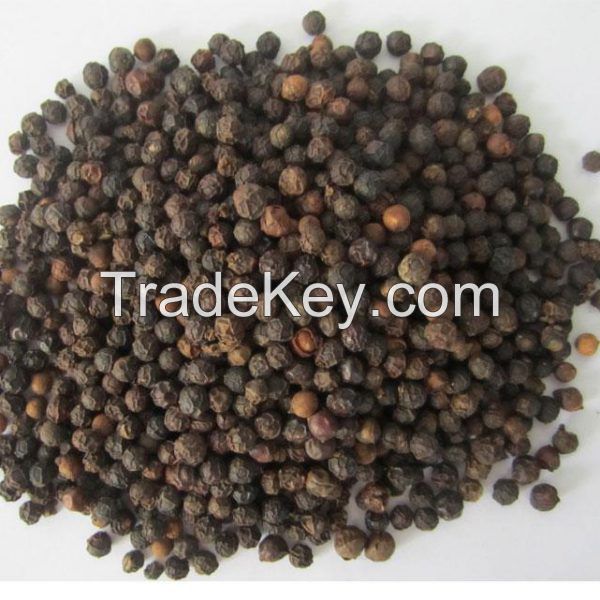 Black Pepper, Bulk Black pepper 500gl - 580gl