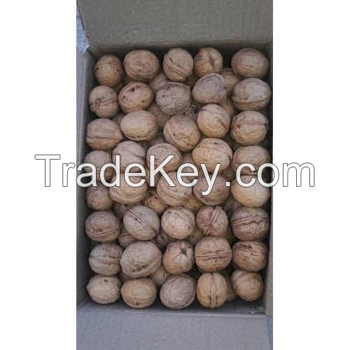 Organic walnut in shell, Organic walnut kernel, Raw Walnuts in Shell, Walnut Kernels