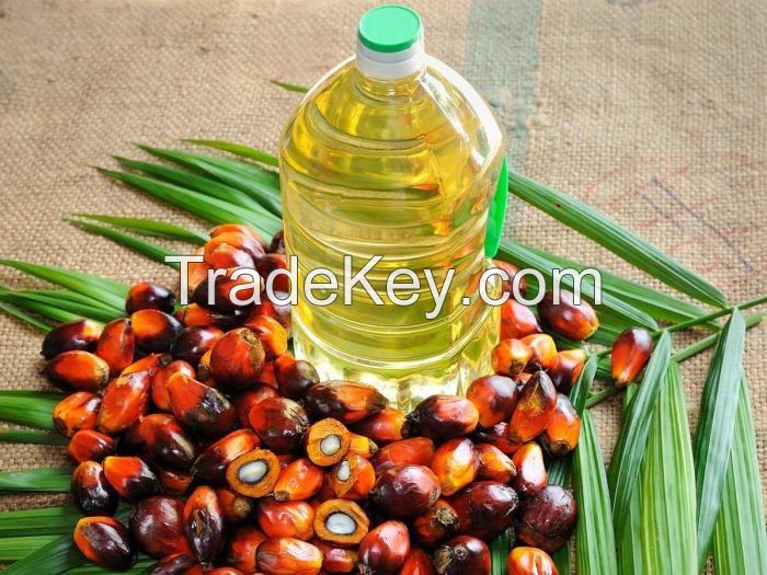 Crude Palm Oil / Red Palm Oil / Palm Oil Shortening / Palm Fatty Acid