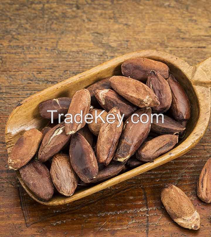 Quality grade A Pili Nuts