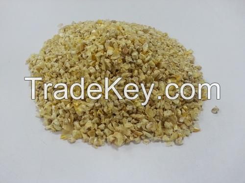 Corn Germ / Corn Germ Oil / Corn Germ Powder