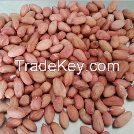 High Quality Red skin peanut / Peanuts / Peanut in shell/Blanched peanuts/Peanut kernels