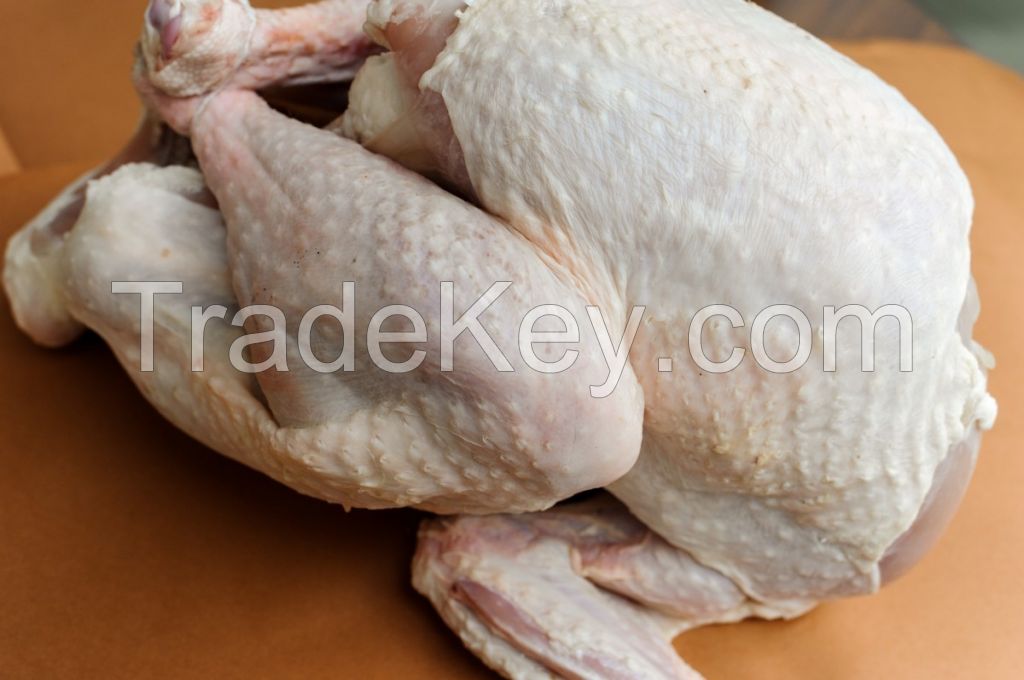 Halal Whole Frozen Chicken and Parts