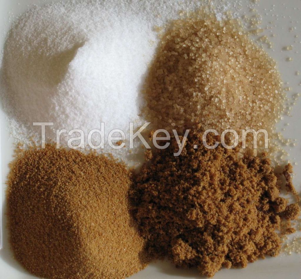 High Quality White/Brown Refined Sugar / BEET SUGAR