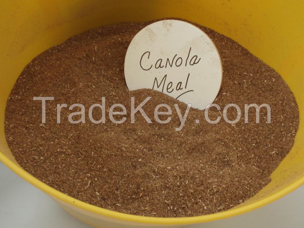 Rapeseed Meal / Canola Meal / Mustard Meal / Sunflower Meal