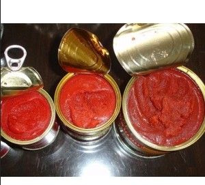 70g canned tomato paste in tin 28-30% cold break 2013 crop of good quality