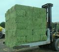 We Are Leading Exporters of Alfalfa Hay