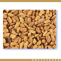 Fenugreek Seeds