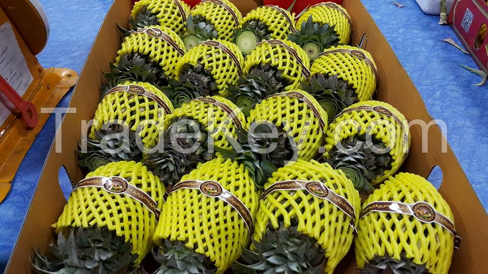 SELL PREMIUM FRESH MINI PINEAPPLE / PHULAE Variety