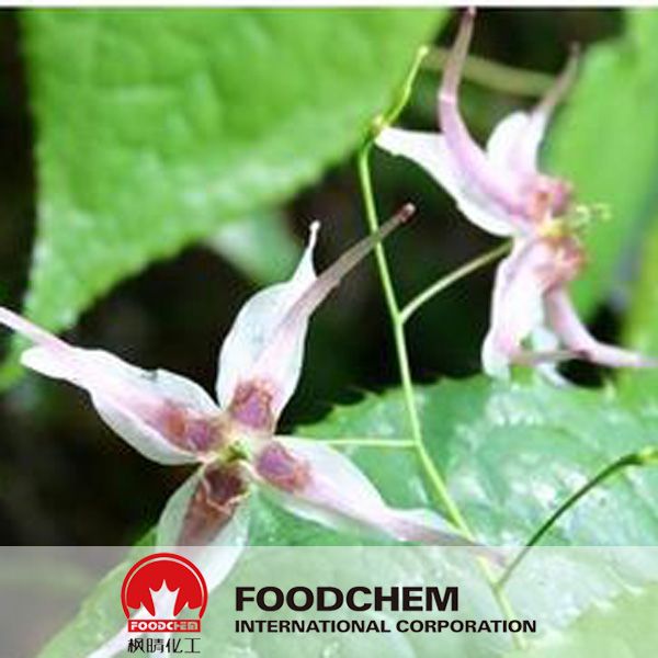 Organic Epimedium Grandiflorum Extract Icariin