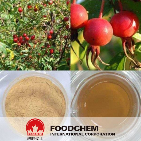 Natural Rose Hips Extract China Wholesale