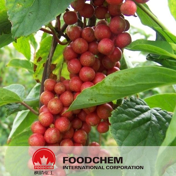 Schisandra Chinensis Extract Schizandrol By HPLC