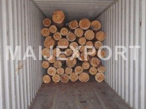 WE OFFER PINE WOOD LOGS