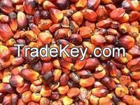 Crude Palm Oil