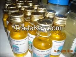 Moringa Seeds Extract Oil