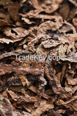 Unprocessed Burley Leaf