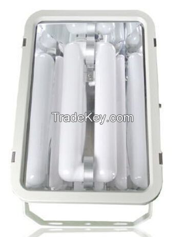 Long life induction floodlight (QC-FW007)