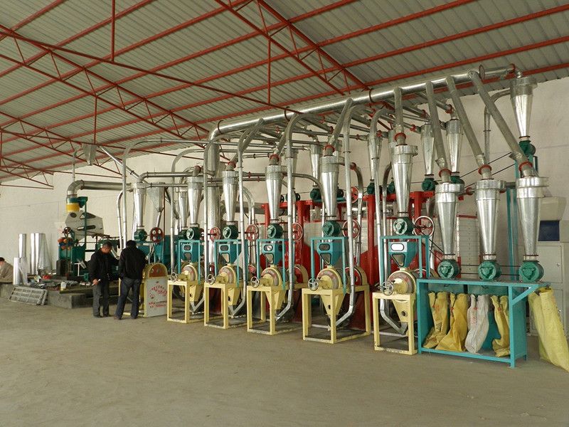 wheat flour processing machinery, wheat mill